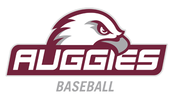 Augsburg University - Baseball